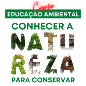 Educação Ambiental