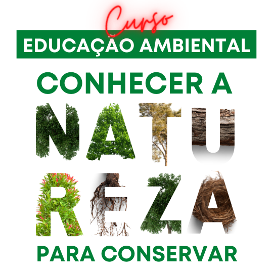 Educação Ambiental